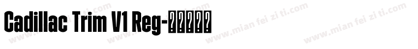 Cadillac Trim V1 Reg字体转换